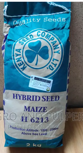 Maize Seed H6213 - 2Kg