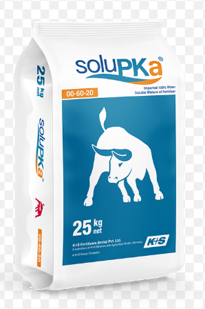 Kpluss UREA - 50Kg