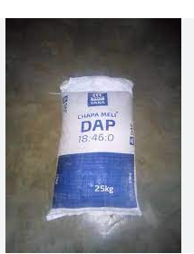Yara DAP - 25Kg